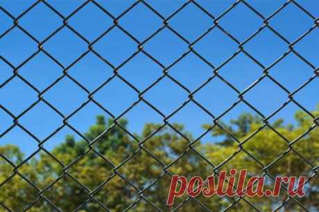 Что сделать из металлической сетки . Милая Я