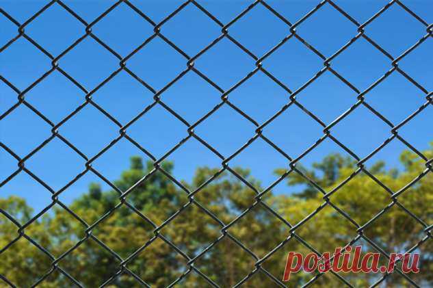 Что сделать из металлической сетки . Милая Я