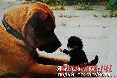 А ТЫ НЕ УЛЕТИШЬ ЕСЛИ Я ДУНУ?