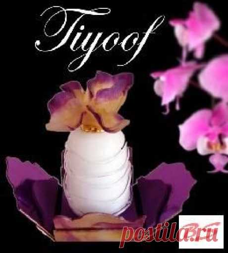 Купить духи Tiyoof