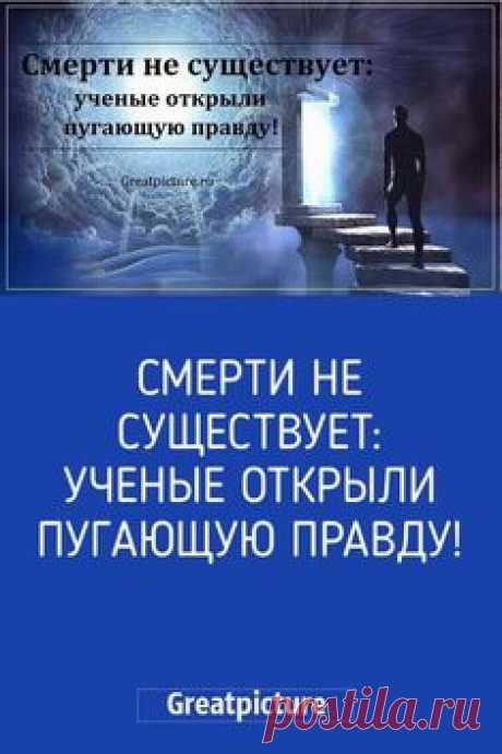 (223) Pinterest