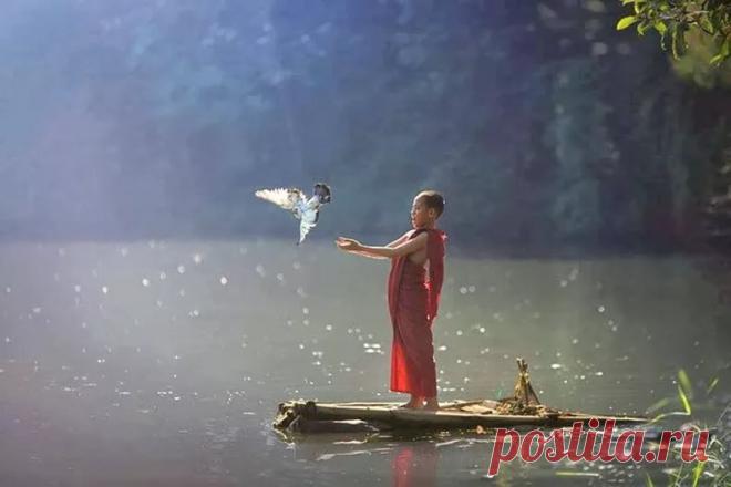 Если боишься терять, то ты ещё просто не нашел себя. Как найдёшь — успокоишься, потому что устройство жизни таково, что нам не принадлежит ничего, что можно потерять. Жизнь проста и прекрасна — она не даёт никаких обязательств и не имеет долгов.
Но ты здесь не с пустыми руками, в них живой груз — любовь. Она, как привязанные в детстве варежки, никогда не теряется, не проходит, не перестает. Борис Гребенщиков