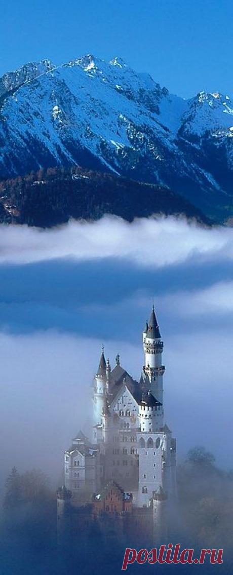 дворцы и дома