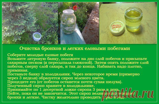 Скопление слизи в организме . | Познавательный сайт ,,1000 мелочей"
