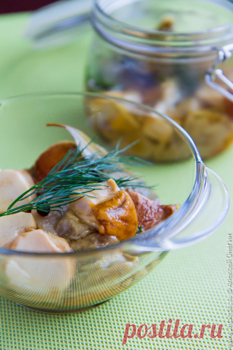 Как солить белые грибы | Кулинарные заметки Алексея Онегина