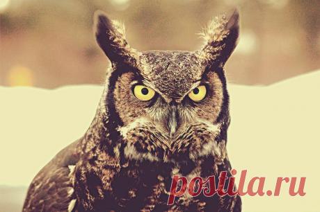 Шесть вредных советов о том, как испортить себе жизнь
У каждого в жизни есть такие умственные привычки, которые явно мешают жить спокойно и счастливо. Если от них избавиться, то вполне возможно стать счастливым человеком. Но нет, большинство из нас упорно продолжает не просто наступать на эти грабли, а прямо танцевать на них. Так что они достойны почетного места и подробного описания. Как можно испортить […]
Читай пост далее на сайте. Жми ⏫ссылку выше