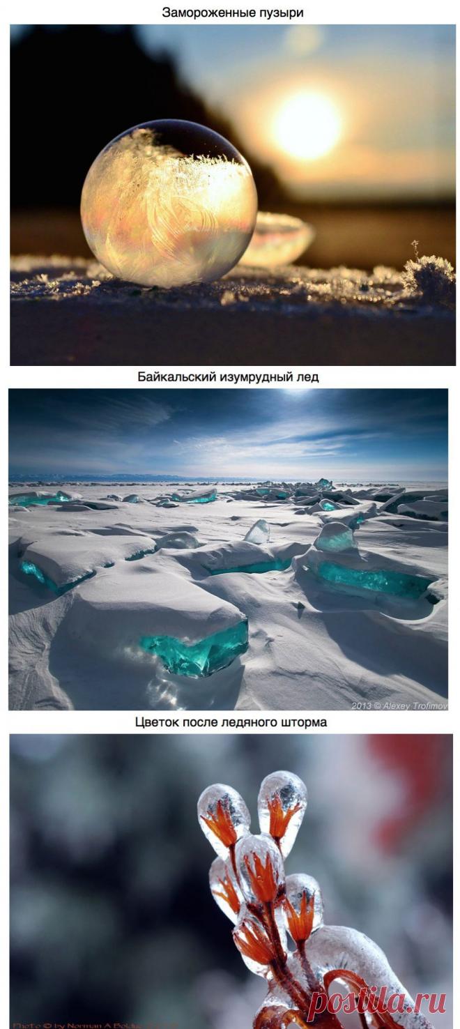 Шедевры природы на рубеже зимы и весны