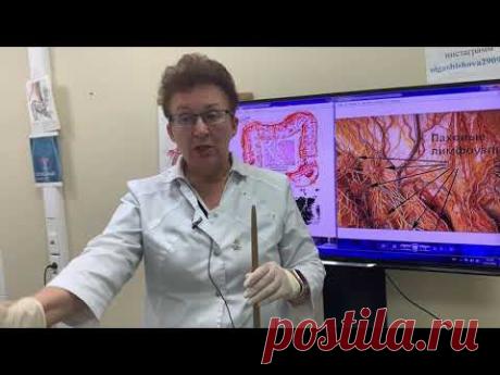 КАК УБРАТЬ ПАПИЛЛОМЫ, ЛИПОМЫ, АТЕРОМЫ, ПОЛИПЫ. [Шишова О.И.]