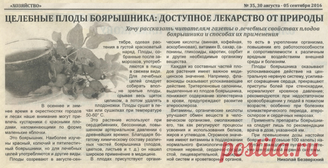 Плоды боярышника - доступное лекарство от природы