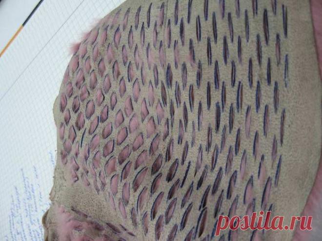 техника перфорации.