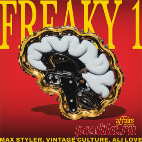 Max Styler, Vintage Culture, Ali Love - Freaky 1 | 4DJsonline.com