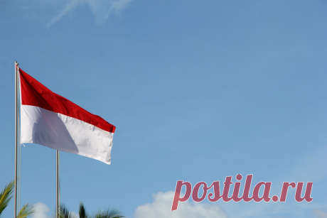 22 августа — День российского флага, поэтому сегодня поговорим о государственных символах.