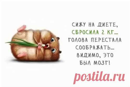 Почему диеты не работают?
