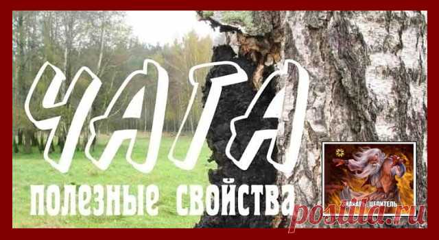 ПОЛЕЗНЫЕ СОВЕТЫ от ЗНАХАРЯ :
✪ Не теряйте информацию, жмите 