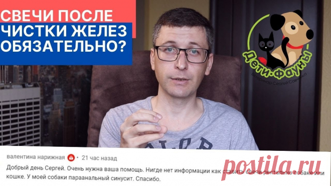Можно ли ставить свечку за собаку ПРИХОД ВОСКРЕСЕНСКОЙ И ВСЕХСВЯТСКОЙ ЦЕРКВЕЙ Г. БЕЛАЯ ХОЛУНИЦА. В Храм Божий надо ходить, пока ноги носят.