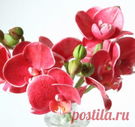 Цветы и деревья ручной работы