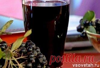Вино из черноплодной рябины | Еда и вино