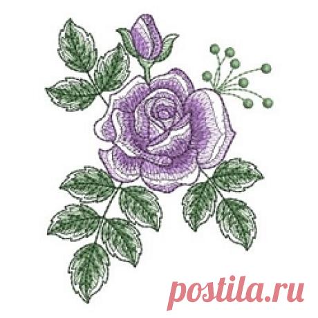 Sketched Roses 2, 10 - 4x4 | Wedding | Machine Embroidery Designs | SWAKembroidery.com