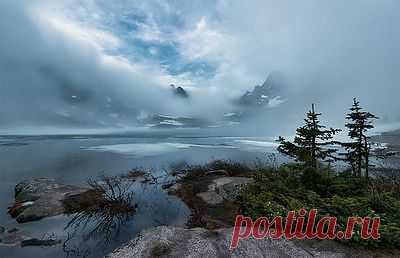 Андрей Грачев - Профиль пользователя - фото.сайт - Photosight.ru