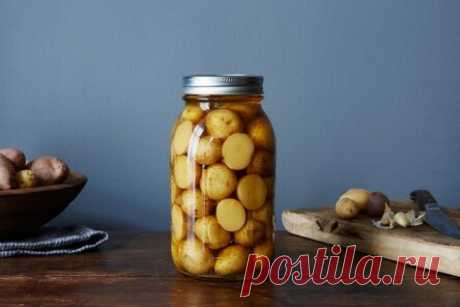 Маринованный картофель на зиму — вкуснотища необыкновенная