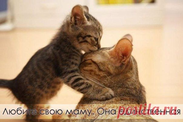 Любите маму