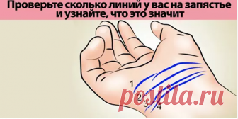 СКОЛЬКО ЛИНИЙ У ВАС НА ЗАПЯСТЬЕ? 3 ИЛИ 4? ПРОВЕРЬТЕ И УЗНАЙТЕ, ЧТО ЭТО ЗНАЧИТ! - Информационный женский портал 45 275 просмотровЧтение по руке, или хиромантия, впервые стали известны еще сотни лет тому назад. Их разработали индуистские астрологи. Впервые упомянули об этом явлении в Китайской книге, а потом хиромантия… Один из самых простых способов чтения по рукам, это даже не по ладони, а по запястью. Больше интересной информации и полезных советов вы всегда сможете найти на …