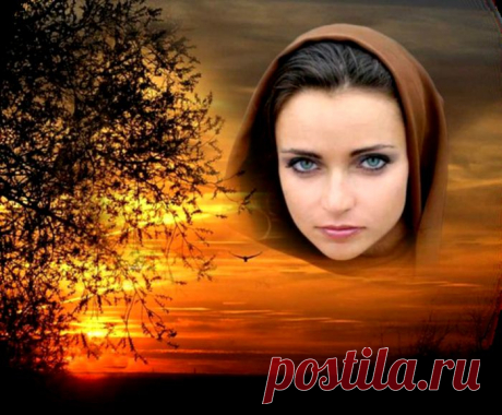 За что и для чего? Эндрю Фриз.