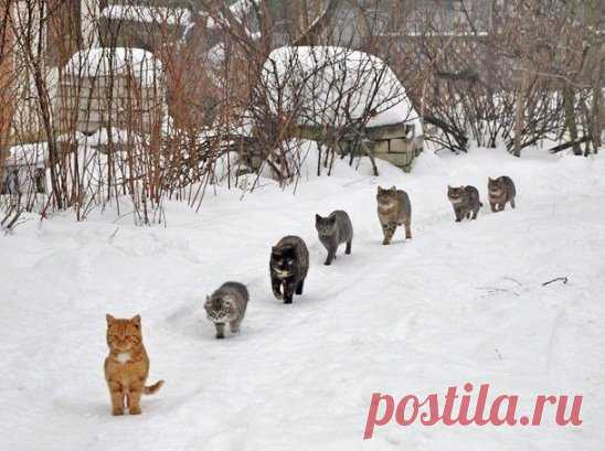 Из соседнего села Пришла девка - весела! Хоть не долго побыла... 
Но всех хлопцев увела!!!   ツ  ツ  ツ