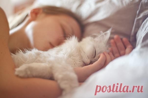 Из-за нервов и стрессов современной жизни у многих людей ухудшается сон. Долго не могут уснуть, часто просыпаются, за ночь спят всего два-три часа.

Чтобы эту ситуацию изменить, надо перейти на правильный режим сна и бодрствования. Ложиться не позже 22-00 (в исключительных случаях – например, пришли гости, - не позже 23-00), вставать в 6-00 (максимум – не позже 7-ми).

Также надо принимать травы. Вот три рецепта.

1. В равных частях взять цветки лаванды, листья розмарина, ...