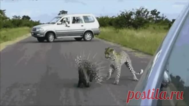 *БРОСЬ все дела   сядь и УЛЫБНИСЬ...