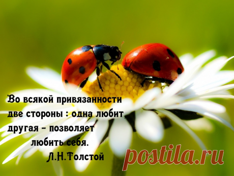 У привязанности 2 стороны.