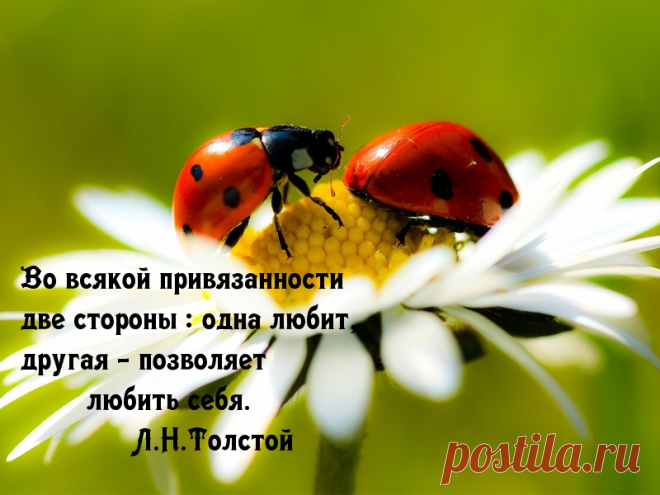 У привязанности 2 стороны.