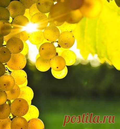Солнце