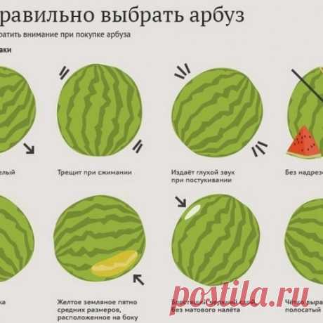8 признаков хорошего арбуза: советы, которые не раз пригодятся тебе этим летом.