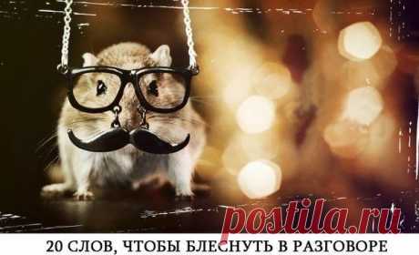 20 слов, которые нужно знать чтобы выглядеть умным в разговоре 1. Сентенция – нравоучение. 2. Экивоки – двусмысленные намеки, увертки. 3. Девиант – человек не соответствующий норме. 4. Катарсис – изменение сознания через сильные переживания. 5. Атара́ксия – душевное спокойствие, невозмутимость, безмятежность, мудрость. 6. Депривация – ощущение недостаточности удовлетворения своих потребностей. 7. Амок – внезапно возникающее буйное психическое расстройство 8. Фрустрация – период полного…