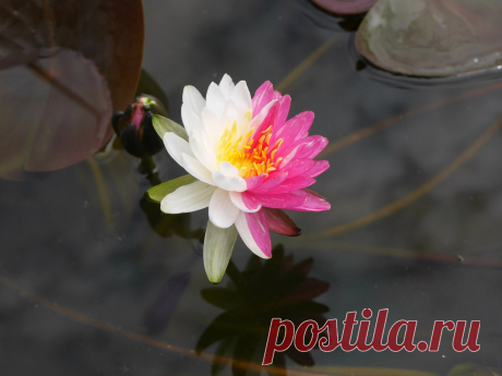 Редактировать описание