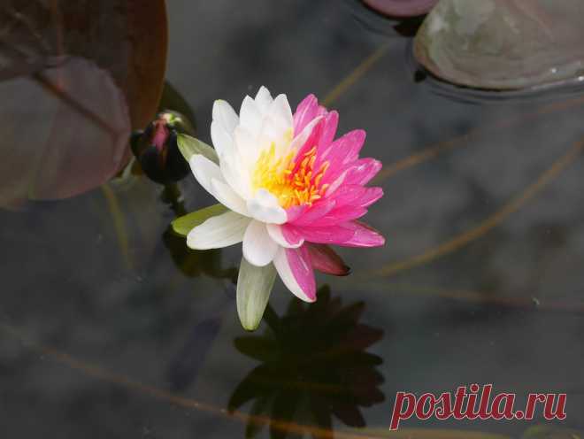 Редактировать описание