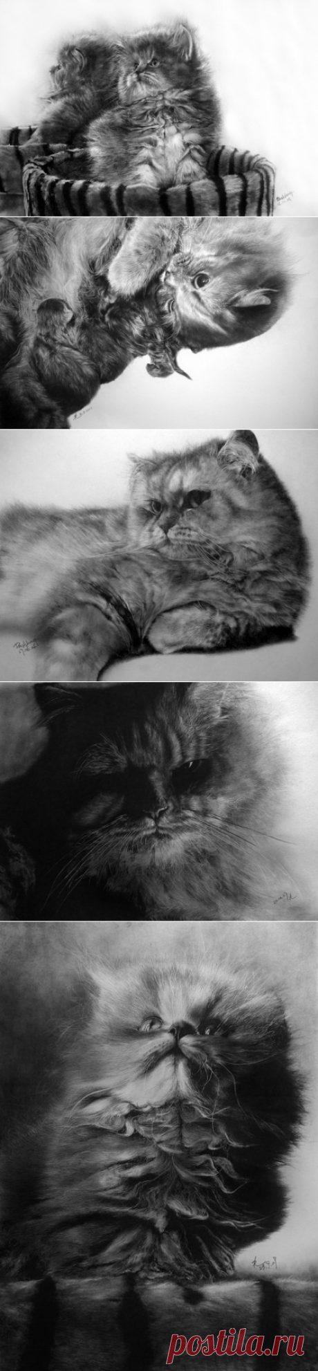 НЕПРОСТЫЕ РИСУНКИ ПРОСТЫМ КАРАНДАШОМ - ˜”*°•..•°*”˜ ✌ П℘иᶄоᏁьнᎯя с₮рᎽнᵰ ✌˜”*°•..•°*”˜ - Группы Мой Мир