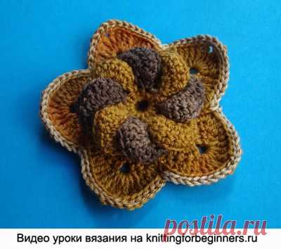 Начинаем вязать – Видео уроки вязания » Вязаные цветы – “Спиральный объёмный цветок” – Урок №55
