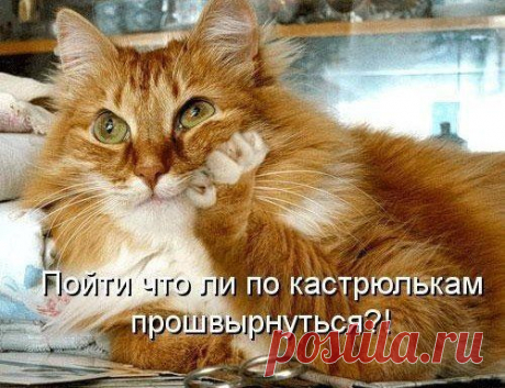 Диетология...