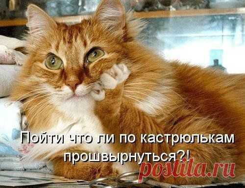 Диетология...