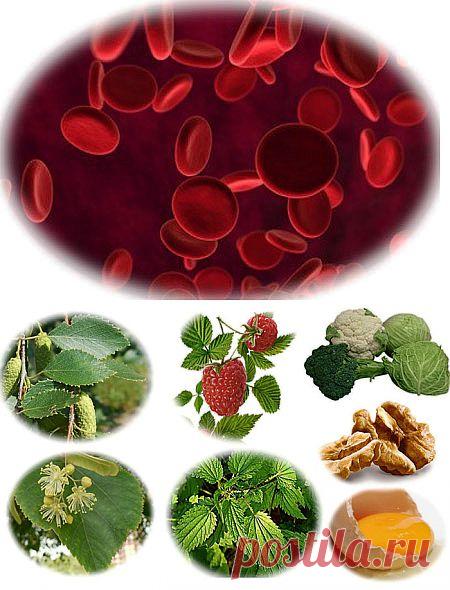 Витамин К содержится | Своё название витамин К получил по первой букве фамилии американского врача-гематолога (изучение крови) Куика, который его и открыл.

Что такое геморрагия-это истечение крови из сосудов. Витамин К предупреждает кровотечения и кровоизлияния.

Витамин К нужен для нормального свёртывания крови.

Его применяют при сильных кровотечениях,