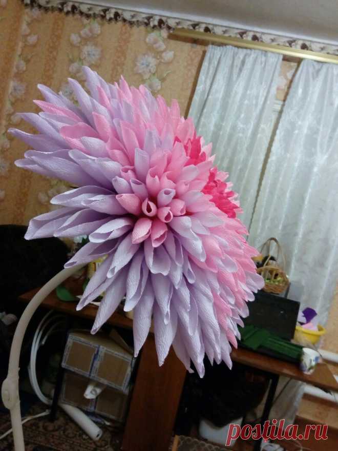 Мастер-классы. Цветы из бумаги. Фотозоны. МК