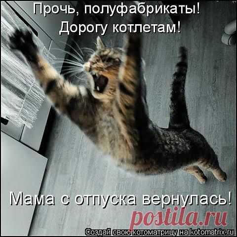 диалог киски