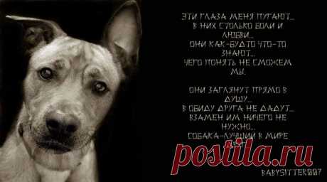 А с ним надо было просто ПОГОВОРИТЬ! (удивительная история) | ЖЕНСКИЙ МИР