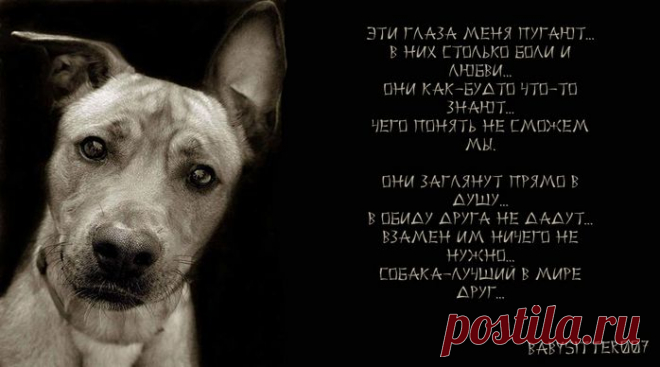 А с ним надо было просто ПОГОВОРИТЬ! (удивительная история) | ЖЕНСКИЙ МИР