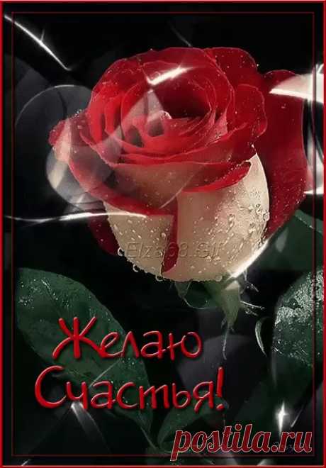 Фото – Google+