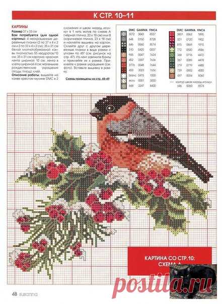 Gallery.ru / Фото #7 - Птицы на 1 листе - berbera53