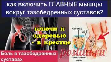 Придушенный ягодичный нерв портит здоровье тазобедренным суставам. Методы освобождения | Причины Здоровья | Дзен