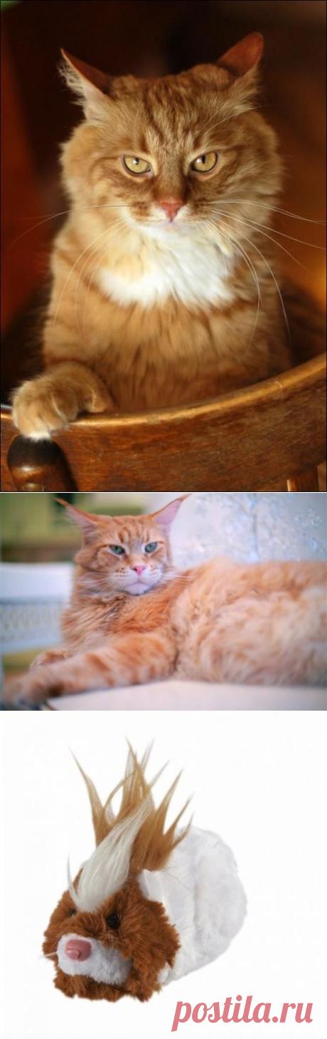 Война с котом. Мы победили!)))